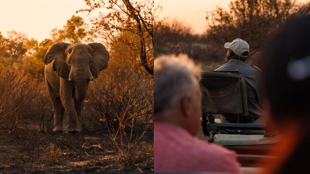 Geiger'S Camp In Timbavati Game Reserve By Newmark Exterior photo